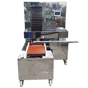  Panning unit (can connect with encrusting machine or other machine) 